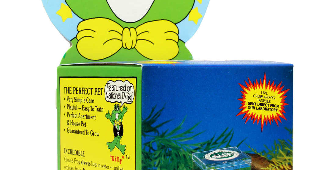Grow-a-Frog Desk Kit